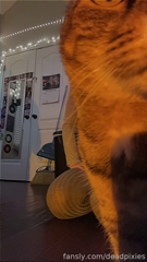 705502447493193728__0.mp4