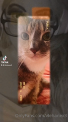 292212758_just-me-selling-out-to-tiktok-nbd_4.mp4