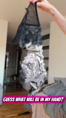 IllinformedModernParakeet.mp4