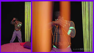 HW_241121_Triptychon8_1080p_low.mp4