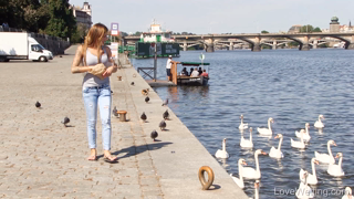 2016-08-29 - Feeding the swans - silviadellai3_fullhd.mp4