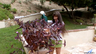 alexandra_silk_9v_outdoormilf_full.wmv