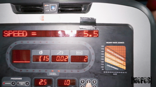Treadmill Tail - Kelsey Kane.mp4