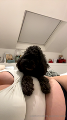 939866302_puppy-love_1.mp4