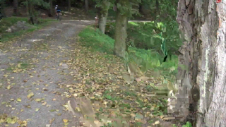 Crazy-Sophia - Extrem gewagt, Sex in Public!.mp4