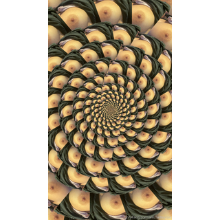 1242x2208_019c5ba8c53b47e0f9828d4bfd07c9d4.jpg