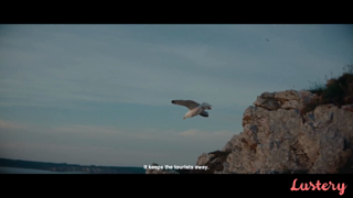 7_Wild And Free In French Brittany.mp4