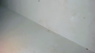 bigblack_barbie69_2026-09-28_07-36-57_687.mp4