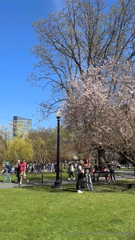 1687751437_the-weather-has-finally-stopped-raining-and-warmed-up-enough_6.mp4