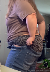 softservex