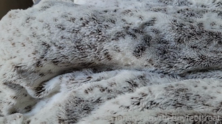 518812240065867777__0.mp4