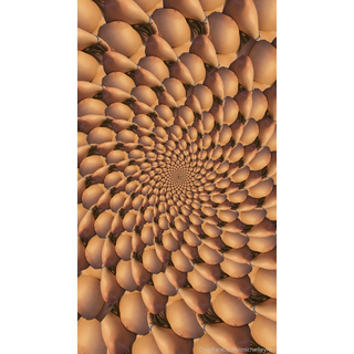 1242x2208_acd88b16bfc71aee14e843448494f025.jpg