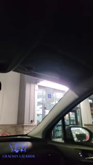 wXg_wWmPOWTLpAkS.mp4