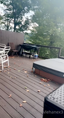 410015683_this-lake-house-was-awesome_8.mp4