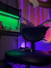 SC_thebrattygoddess_July-11-2026_02-21-10.mp4