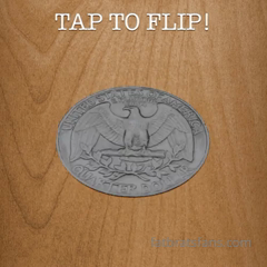 445698377_flip-the-coin-today-only-tip-10-for-1-flip-or_0.mp4