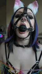 376595322_close-ups_7.m4v