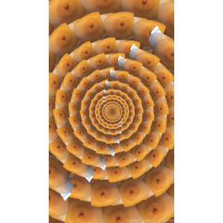 1242x2208_146280b4398385e29516e2ddb21205cb.jpg
