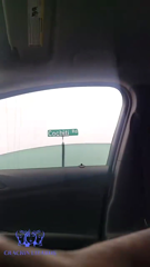 RATXU-I9gst3goJK.mp4