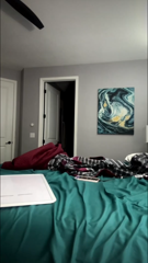 Strawberrytabby_20250625.mp4