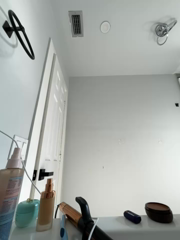 Terribletabby_2026-05-12_14-04-25_295-merged-1778917945626.mp4