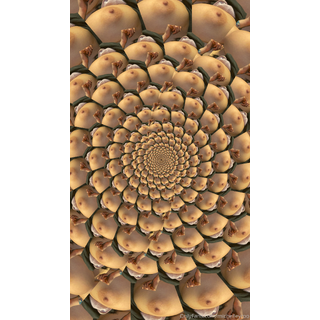 1242x2208_3b6bc84df74d01a1b45d43d1929f11e7.jpg