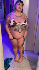 330491678_wg-drive-weigh-in-measurements-1-week-15-shakes-swi_3.m4v