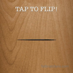 248323660_flip-the-coin-tip-5-to-flip-tails-your-choice-of_0.mp4